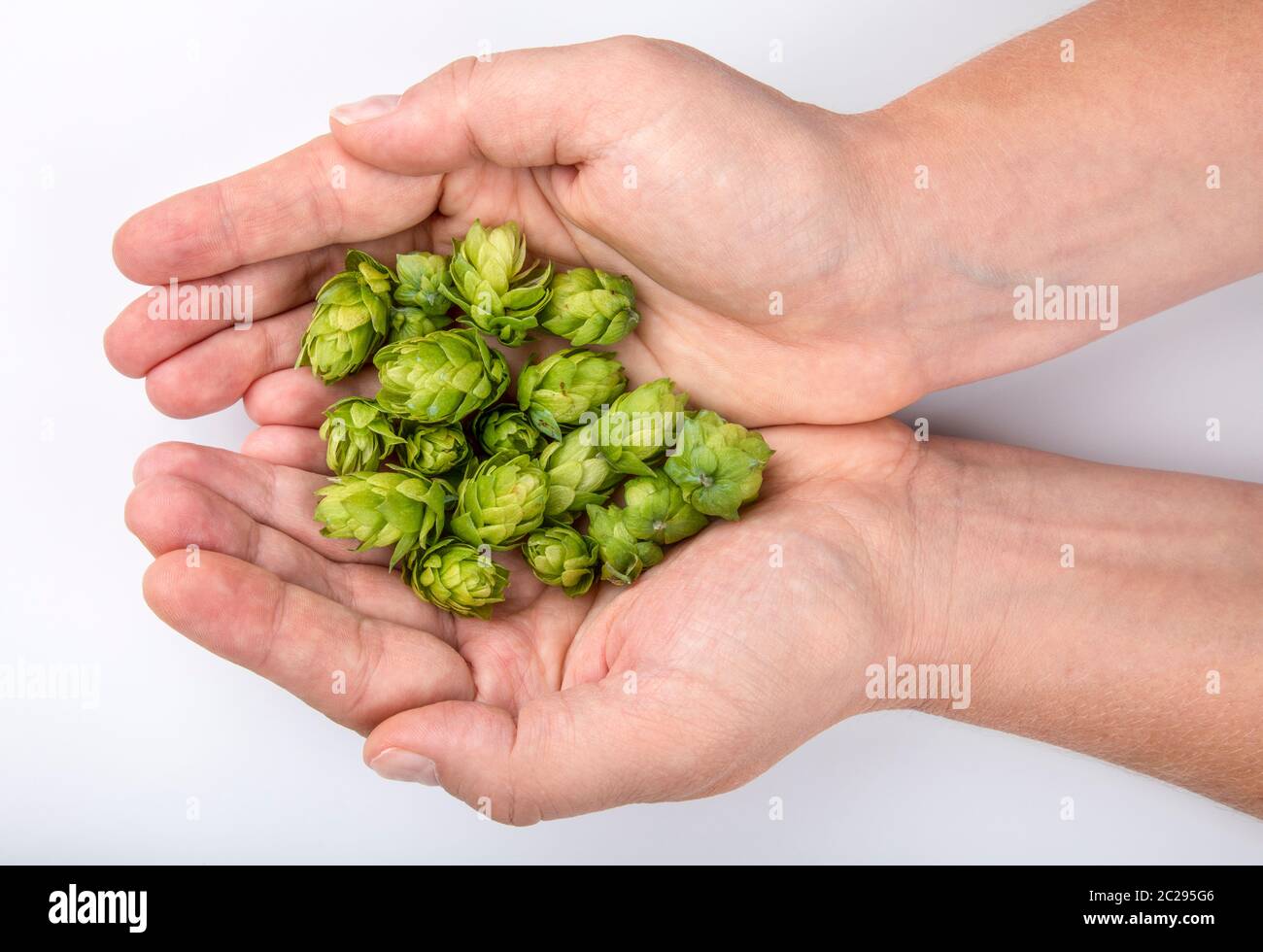 Hände und präsentiert von Dienstleistungen von Dienstleistungen von Dienstleistungen Foto Stock