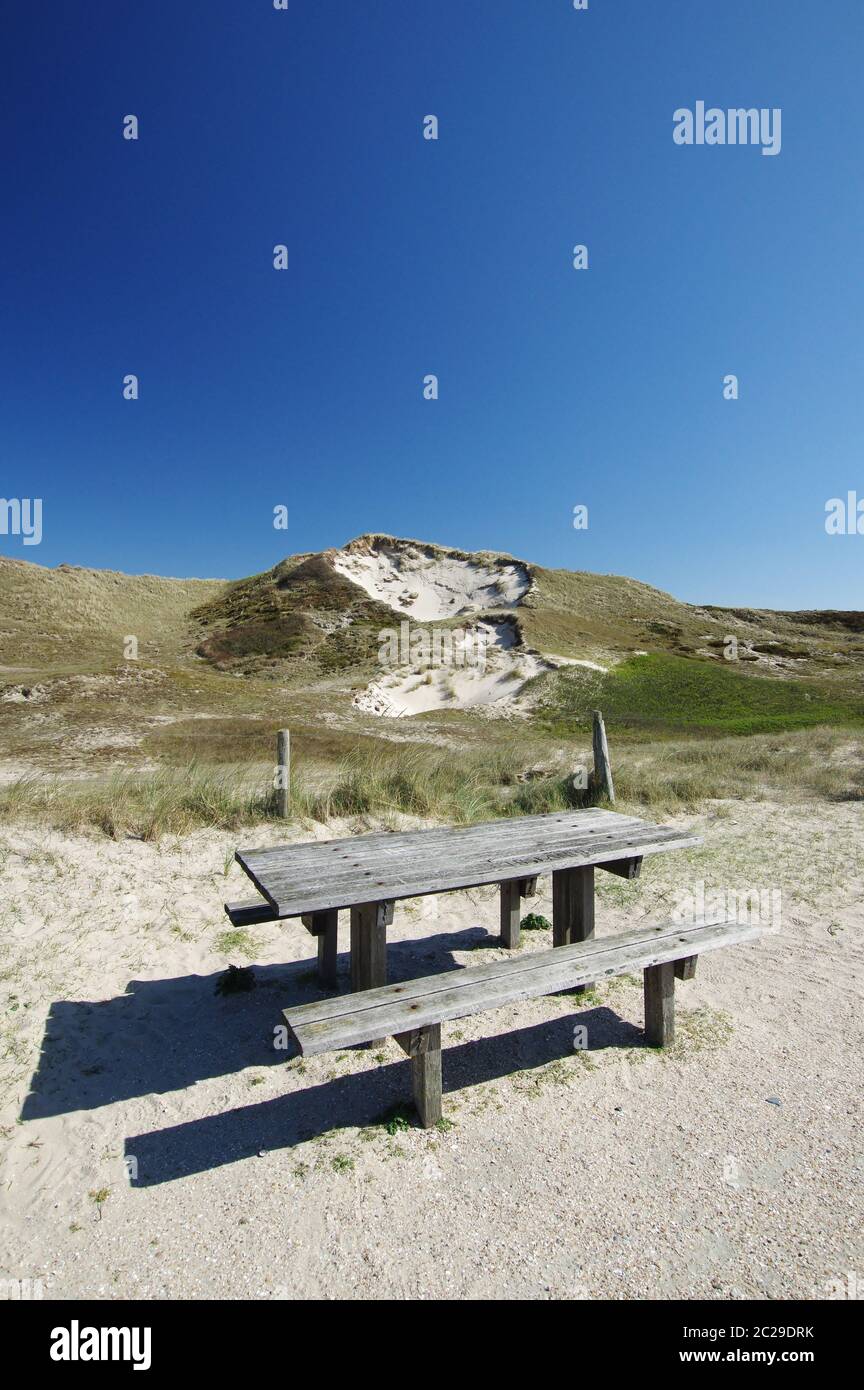 Nelle dune di Julianadorp aan Zee, distretto Den Helder, provincia Olanda, Paesi Bassi, Europa occidentale Foto Stock