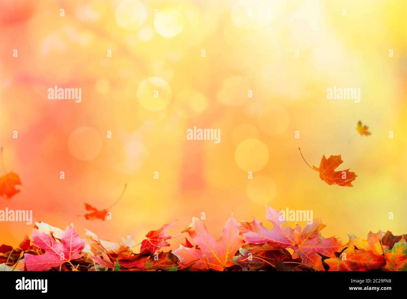 Sfondo autunno con foglie cadenti Foto Stock Sfondo autunno con foglie cadenti Foto Stock