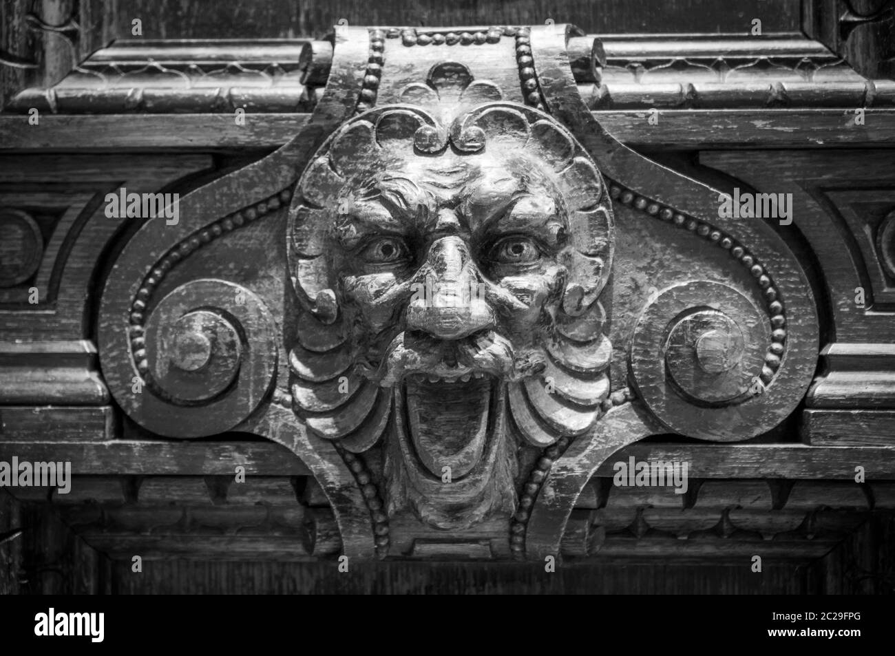 Testa leone in pietra grigia con bocca aperta. Un altro dente mancante. Dettaglio di una scultura, primo piano foto Foto Stock