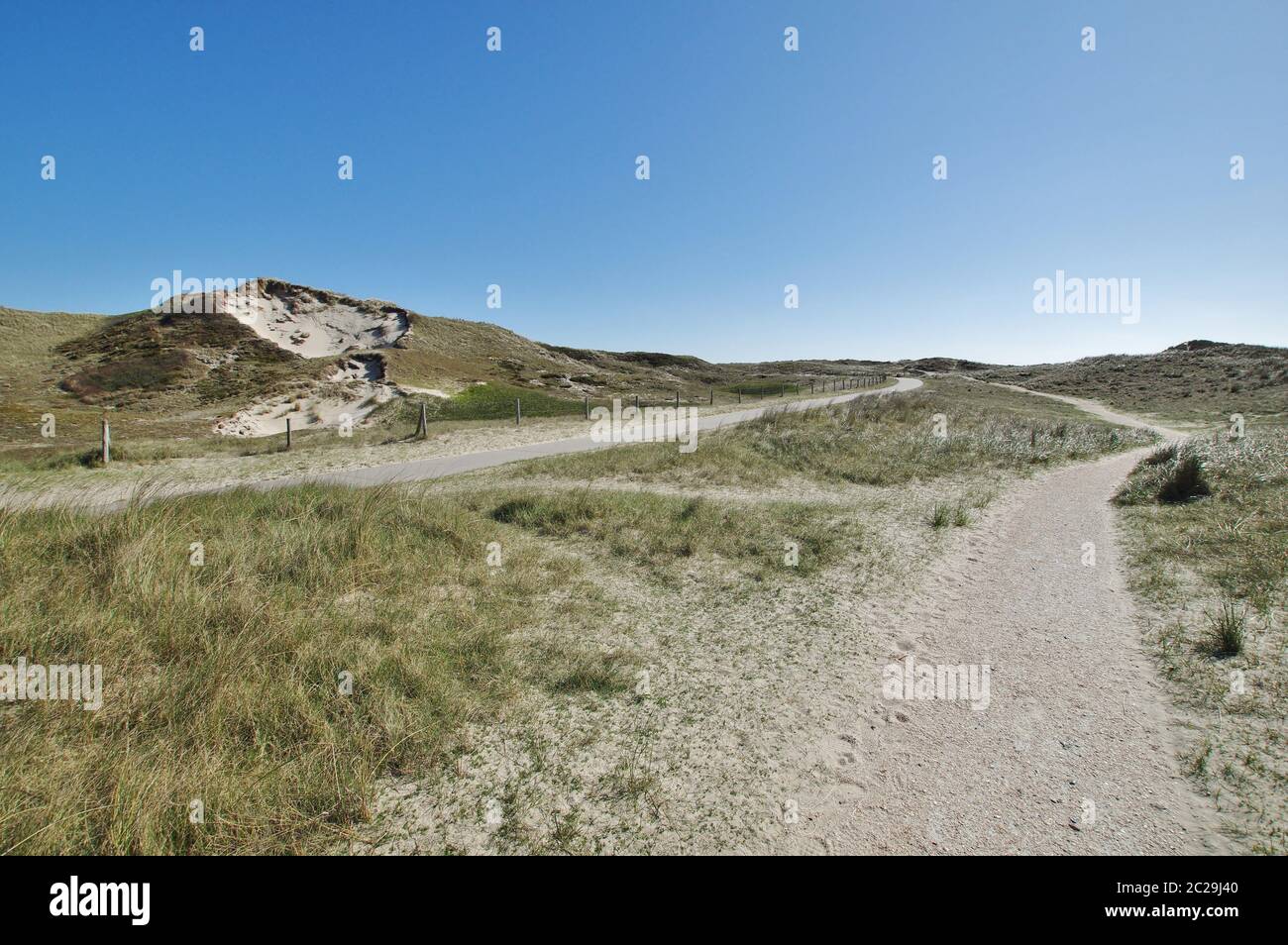 Nelle dune di Julianadorp aan Zee, Distretto Den Helder, Provincia Olanda, Paesi Bassi, Europa Occidentale Foto Stock
