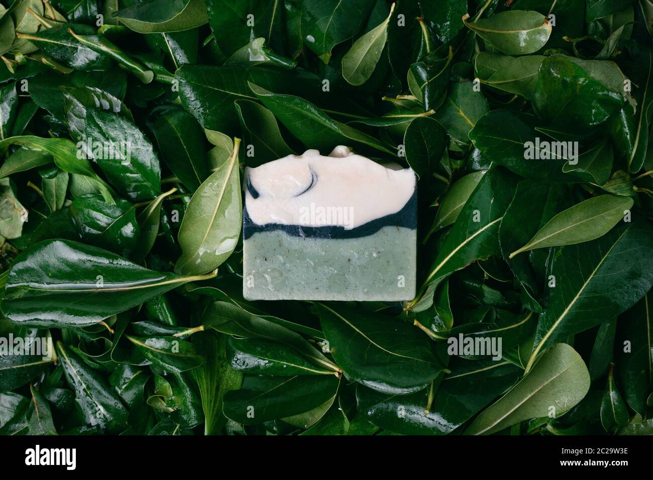 Sapone naturale fatto in casa su foglie verdi bagnate, fuoco selettivo Foto Stock