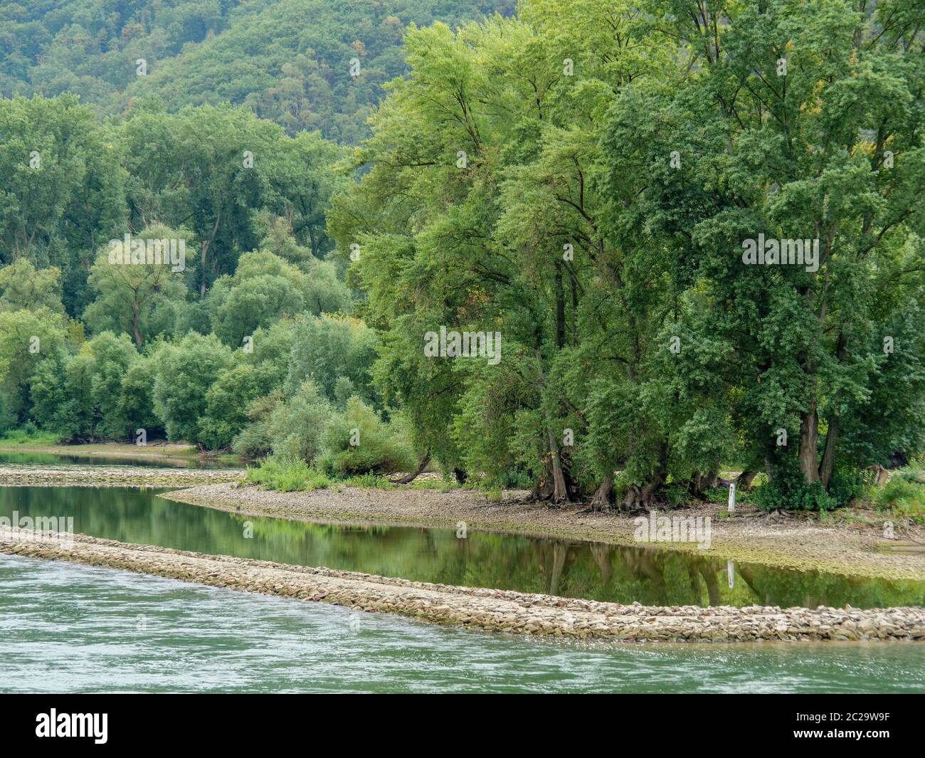 il fiume reno vicino a bingen in germania Foto Stock