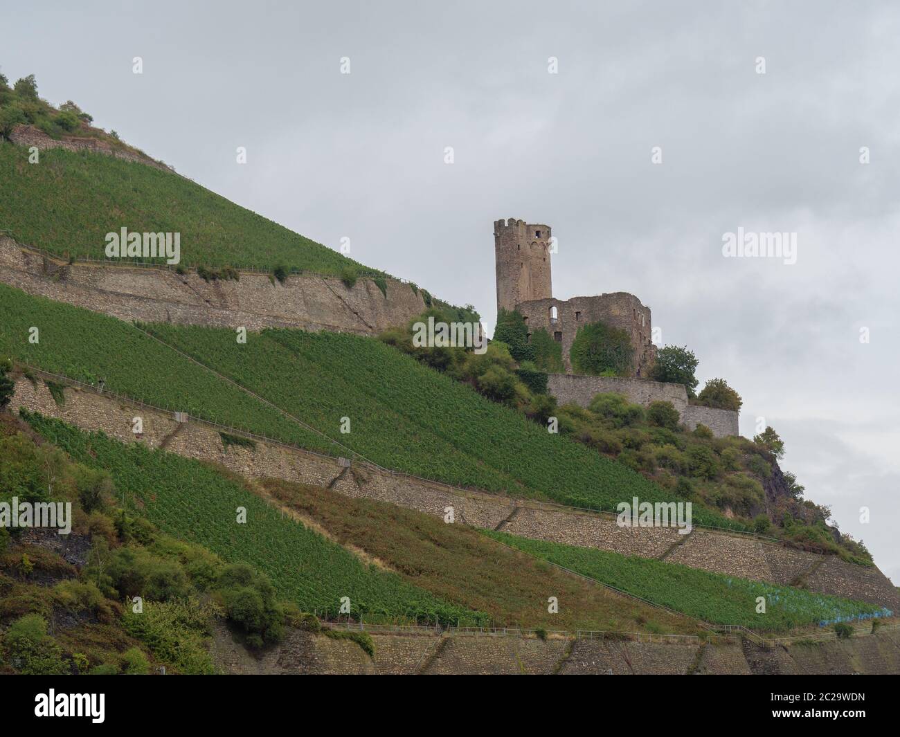 il fiume reno vicino a bingen in germania Foto Stock