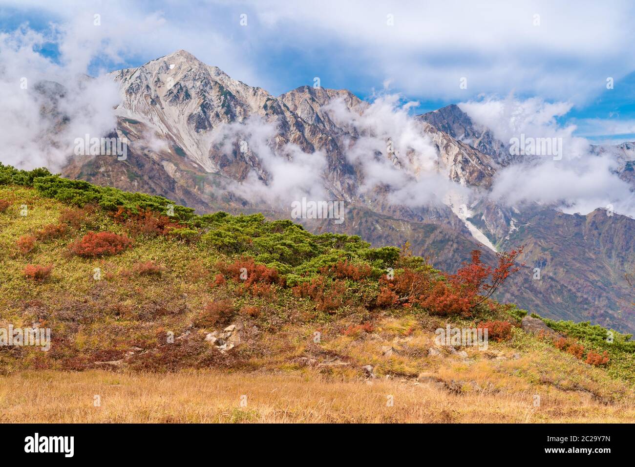 Paesaggio di autunno autunno di Hakuba Valley in Nagano Giappone Chubu Foto Stock