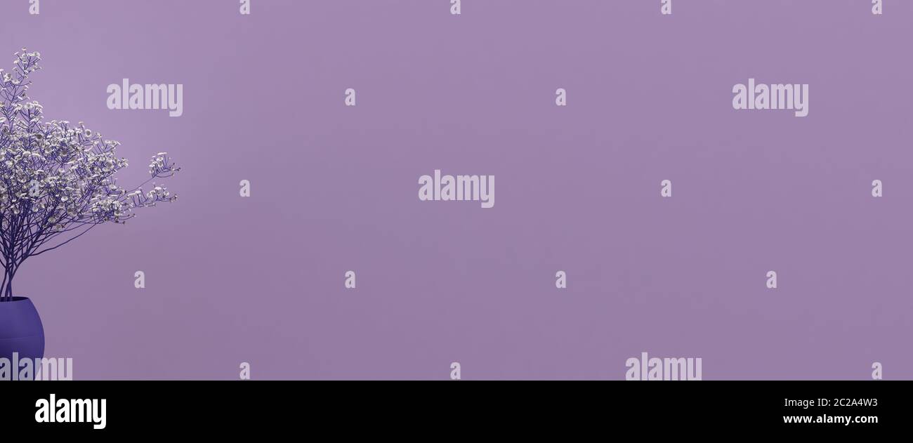 Pianta viola con fiori bianchi e sfondo viola, design creativo, arte nascosta, spazio vuoto per la copia, lettere, spazio per il testo, stile minimalista Foto Stock