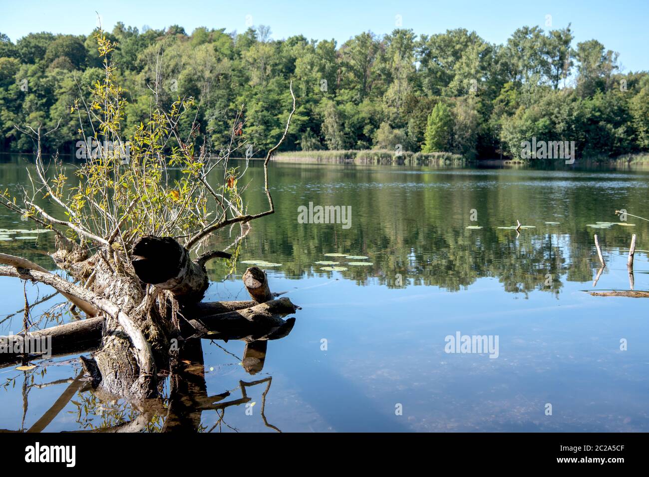 Lago di donatus Foto Stock