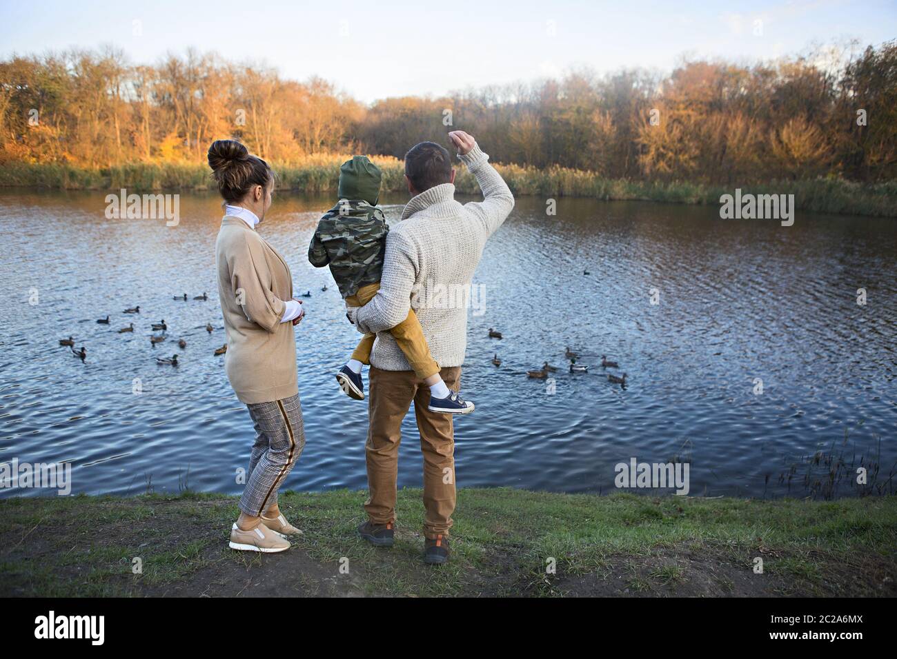 Padre, madre e figlio piccolo nutrendo anatre Foto Stock