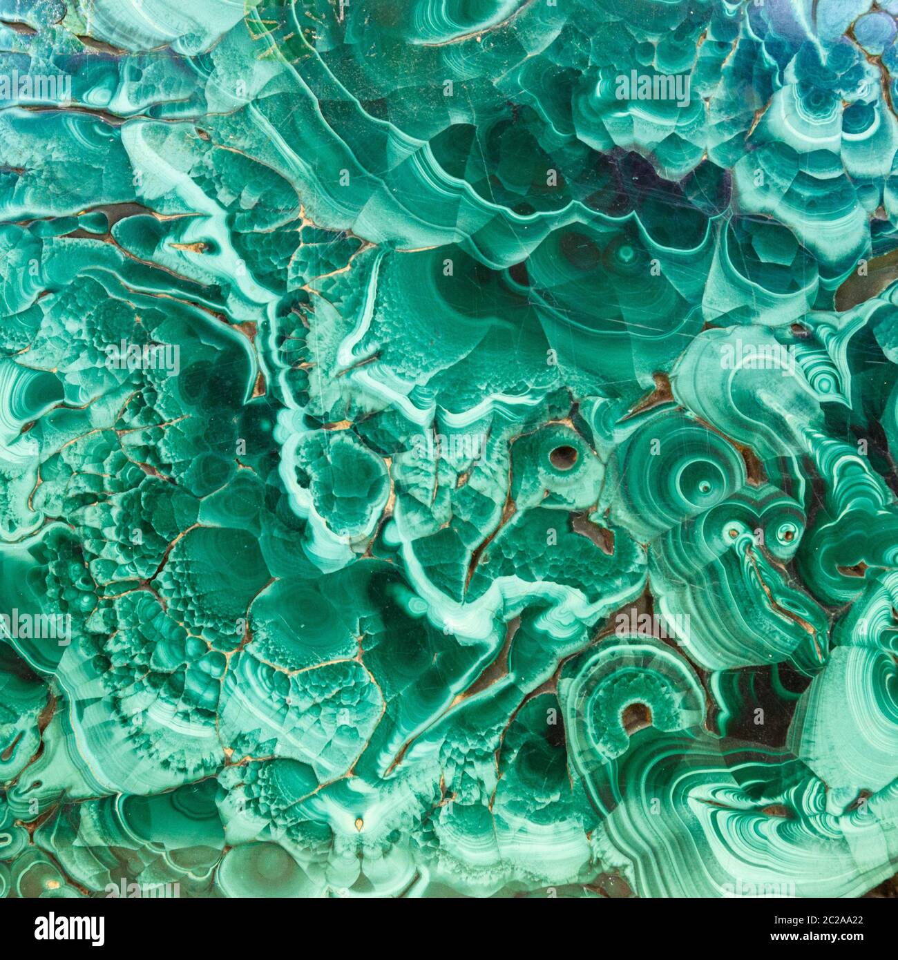 Malachite verde gemma minerale tessuto, malachite sfondo, sfondo verde. Incredibile lastra naturale lucidata di malachit verde Foto Stock
