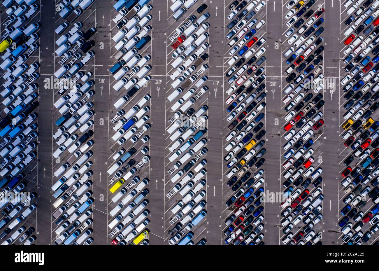 Una vista generale delle nuove auto parcheggiate al Royal Portbury Dock di Avonmouth, Bristol. Foto Stock