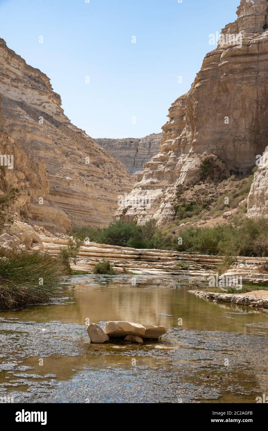 Israele Negev Desert Sede Boker. Vista fantastica della spaccatura di Nakhal Tsin. Splendide montagne con sabbia colorata. Vista dell'Ibex di Nubian a Sde Boker, il deserto di Negev, Israele meridionale. Foto Stock