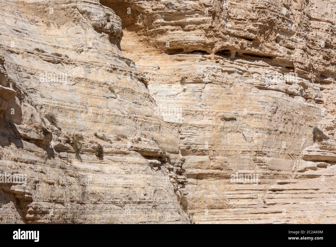 Israele Negev Desert Sede Boker. Vista fantastica della spaccatura di Nakhal Tsin. Splendide montagne con sabbia colorata. Vista dell'Ibex di Nubian a Sde Boker, il deserto di Negev, Israele meridionale. Foto Stock