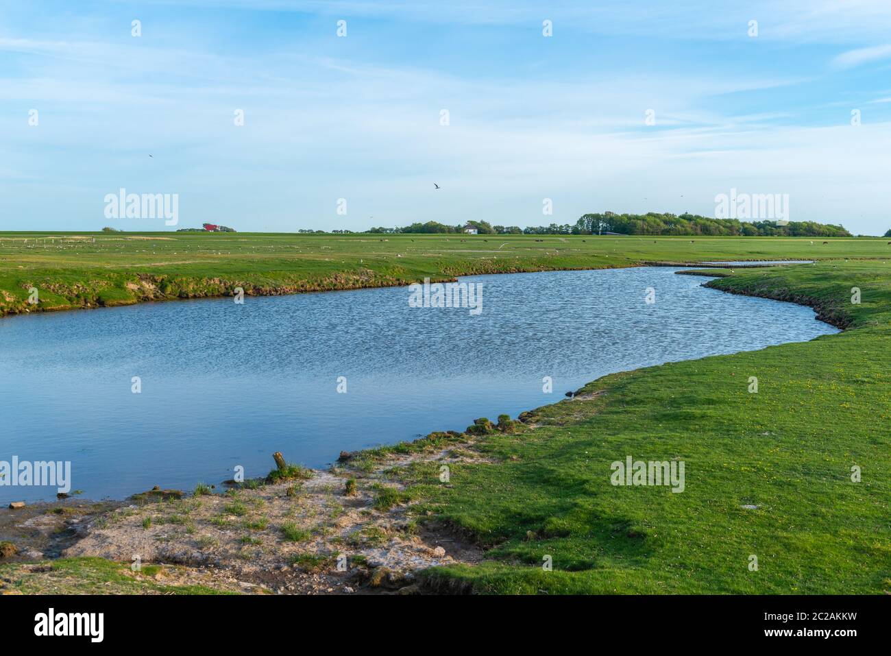 Isola del Mare del Nord di Neuwerk nel Mare di Wadden, Stato federale di Amburgo, Patrimonio dell'Umanità dell'UNESCO, Parco Nazionale zona II, Germania del Nord, Europa Foto Stock