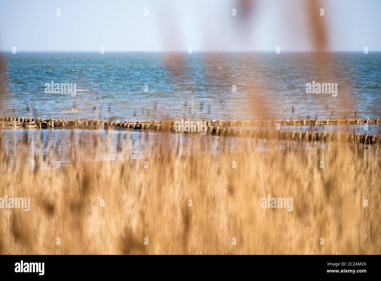 Parco Nazionale del Mare di Wadden Foto Stock