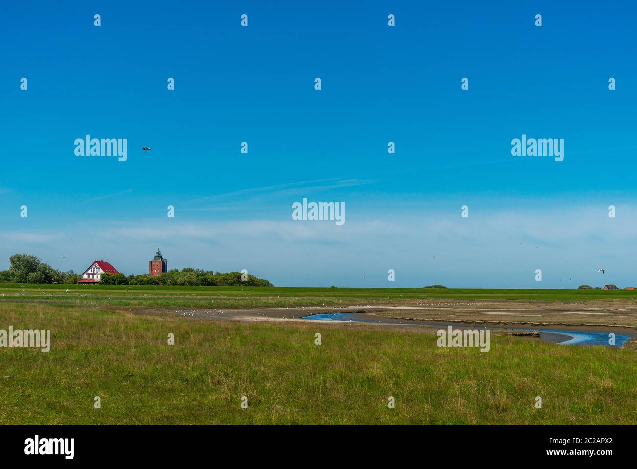Isola del Mare del Nord di Neuwerk nel Mare di Wadden, Stato federale di Amburgo, Patrimonio dell'Umanità dell'UNESCO, Parco Nazionale zona i, Germania del Nord, Europa Foto Stock
