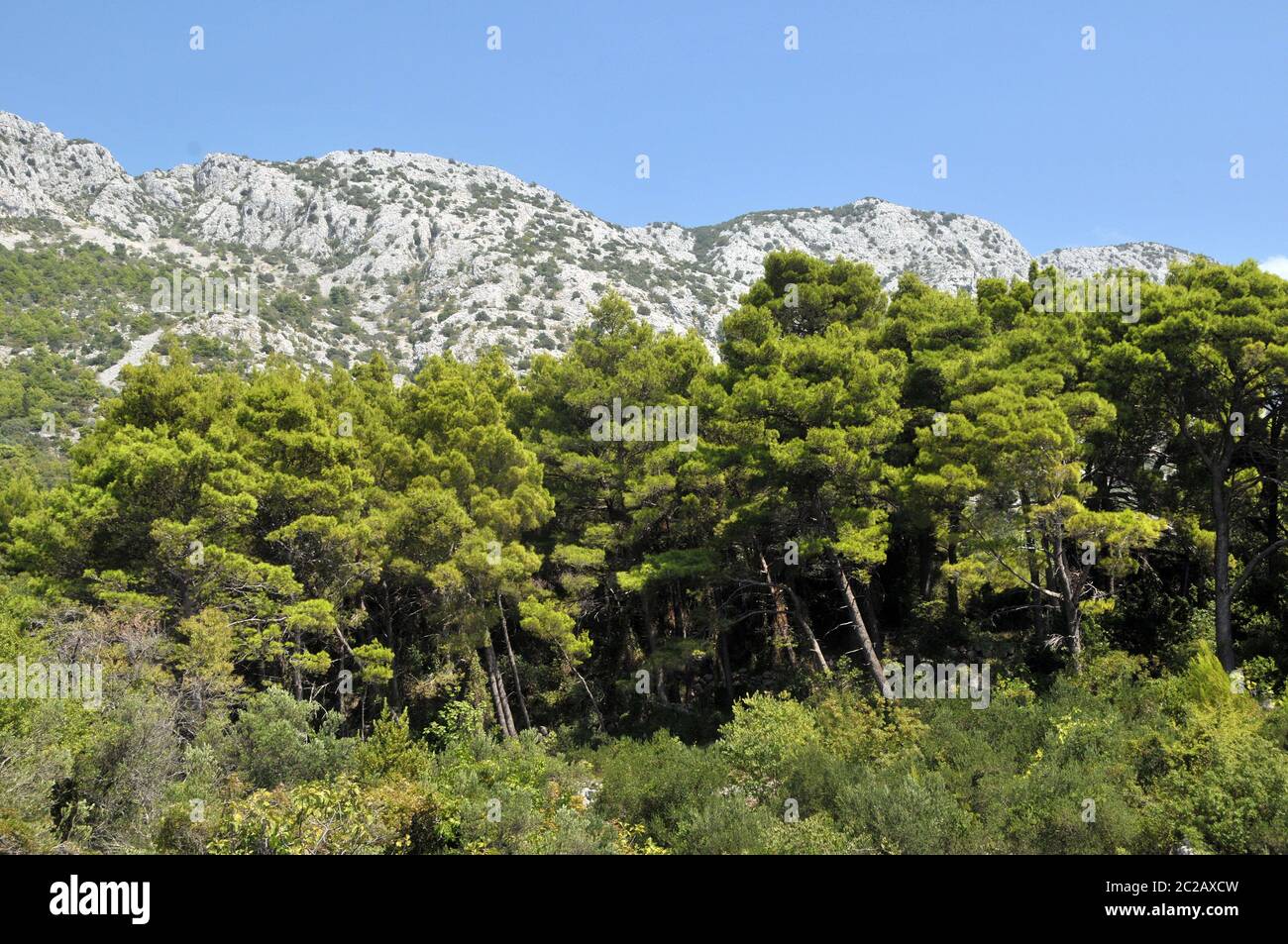 Paesaggio a Ingrane in Croazia Foto Stock