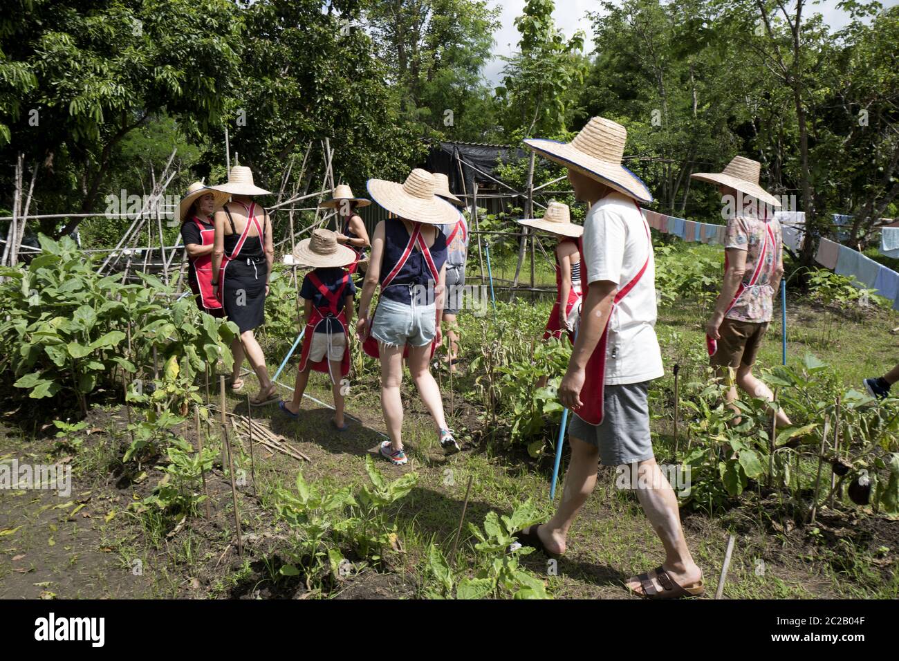 Turisti che indossano il cappello da contadino che hanno un tour nell'orto, durante una lezione di cucina thailandese, Chang mai. Foto Stock