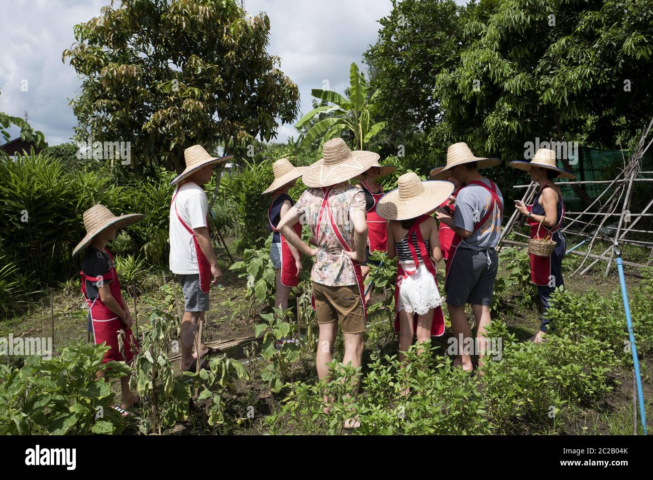 Turisti che indossano il cappello da contadino che hanno un tour nell'orto, durante una lezione di cucina thailandese, Chang mai. Foto Stock