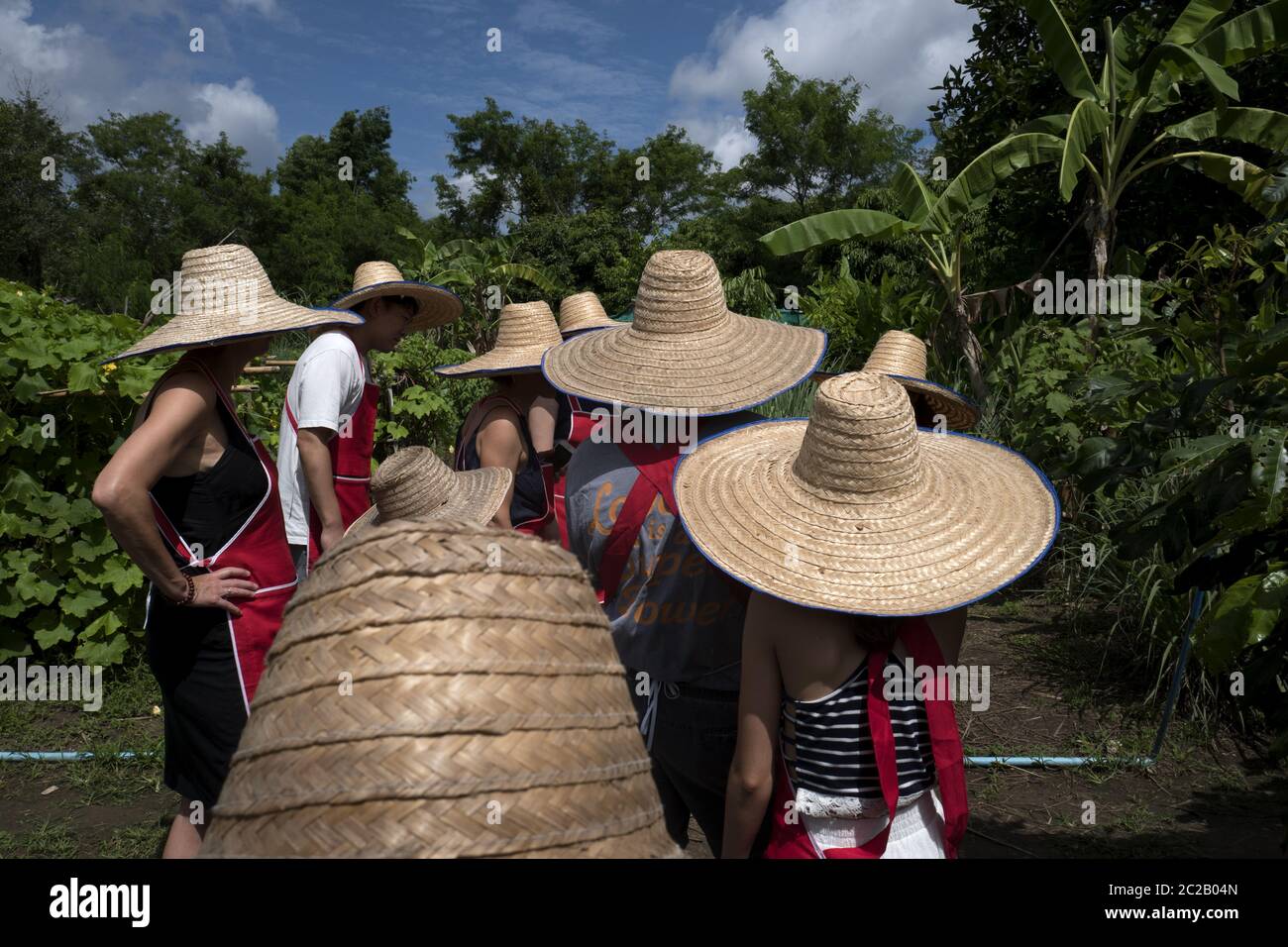 Turisti che indossano il cappello da contadino che hanno un tour nell'orto, durante una lezione di cucina thailandese, Chang mai. Foto Stock