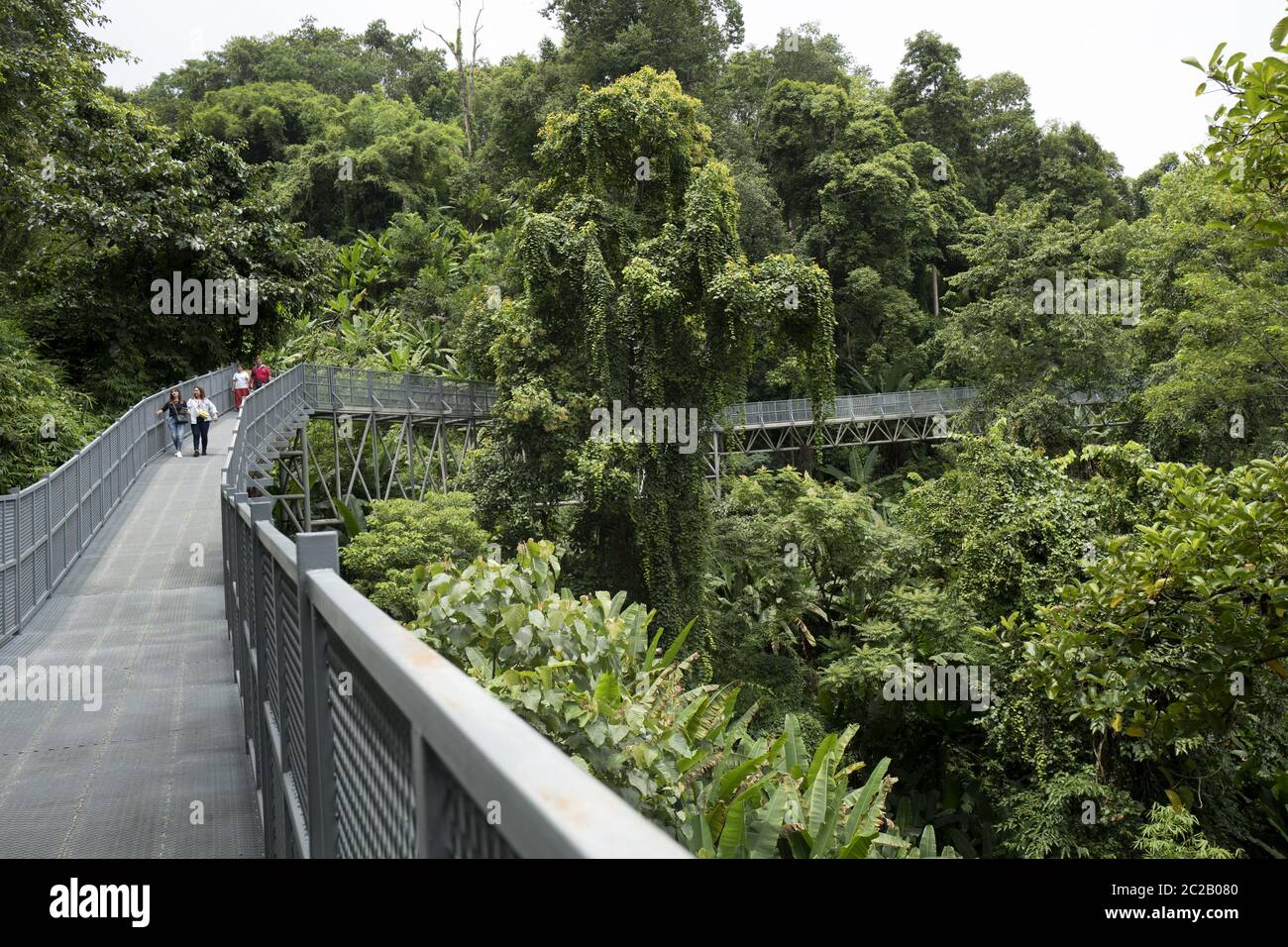 Ponte pedonale sulla foresta tropicale all'interno del Giardino Botanico Regina, a Chang mai. Foto Stock