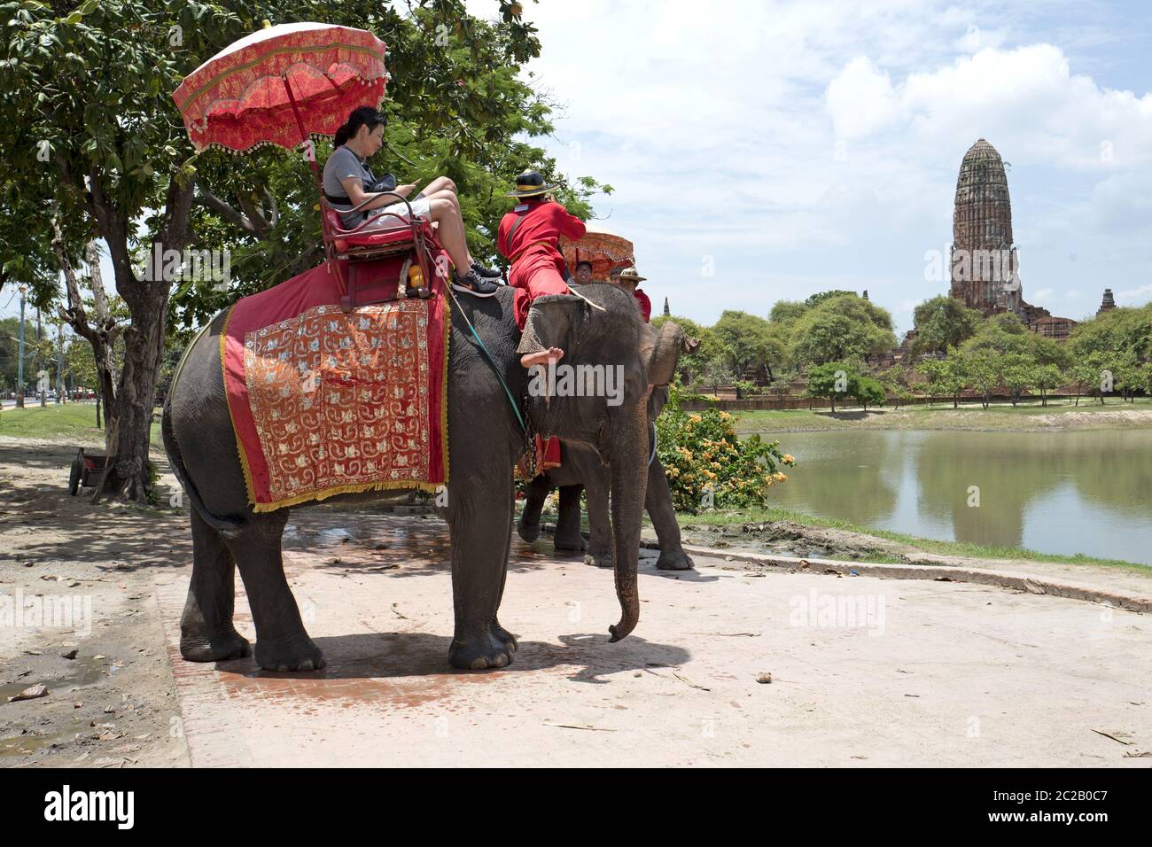 L'elefante thailandese porta i turisti a visitare l'antica capitale tthailandese, ad Ayutthaya. Foto Stock