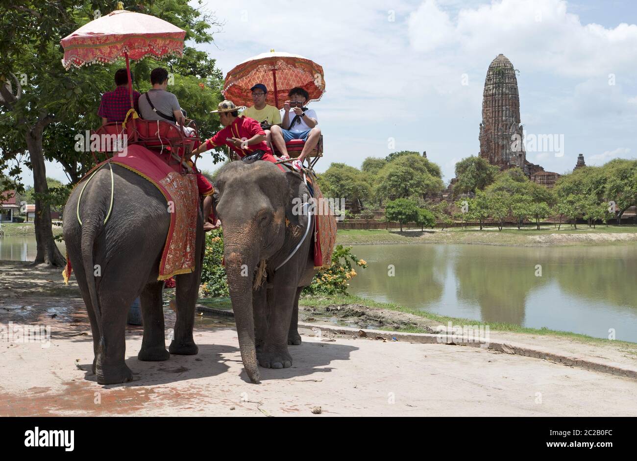 L'elefante thailandese porta i turisti a visitare l'antica capitale tthailandese, ad Ayutthaya. Foto Stock