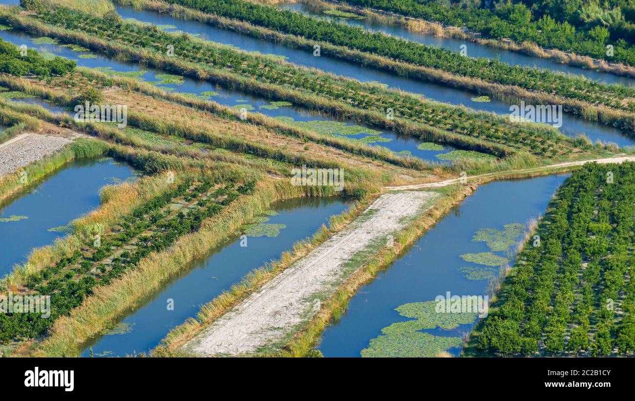 PiÅ¾inovac Foto Stock