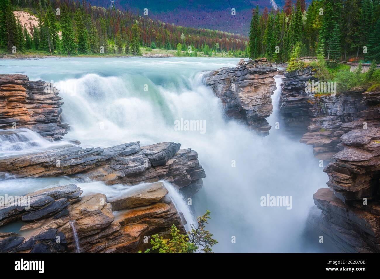 Athabasca cade nel Jasper National Park, Rocky Mountains, Alberta, Canada Foto Stock