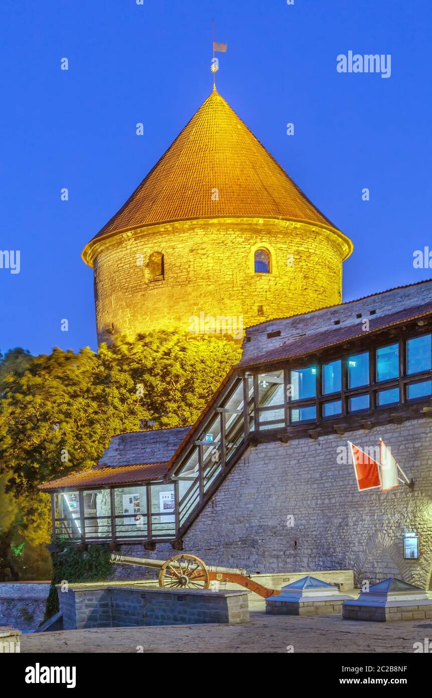 Kiek in de Kok, Tallinn, Estonia Foto Stock