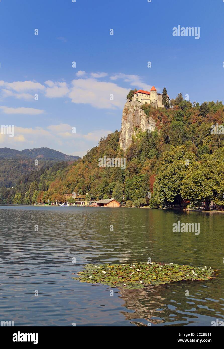 Lago di Bled e castello di bout in Slovenia Foto Stock