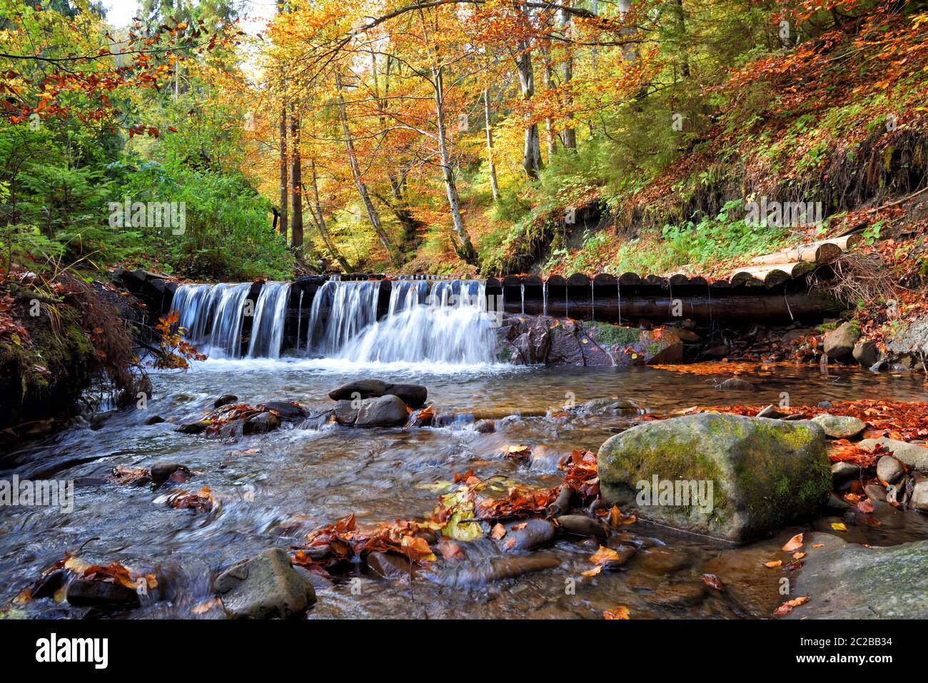 Splendido paesaggio con una cascata nella foresta d'autunno. Autunno giorno di sole Foto Stock