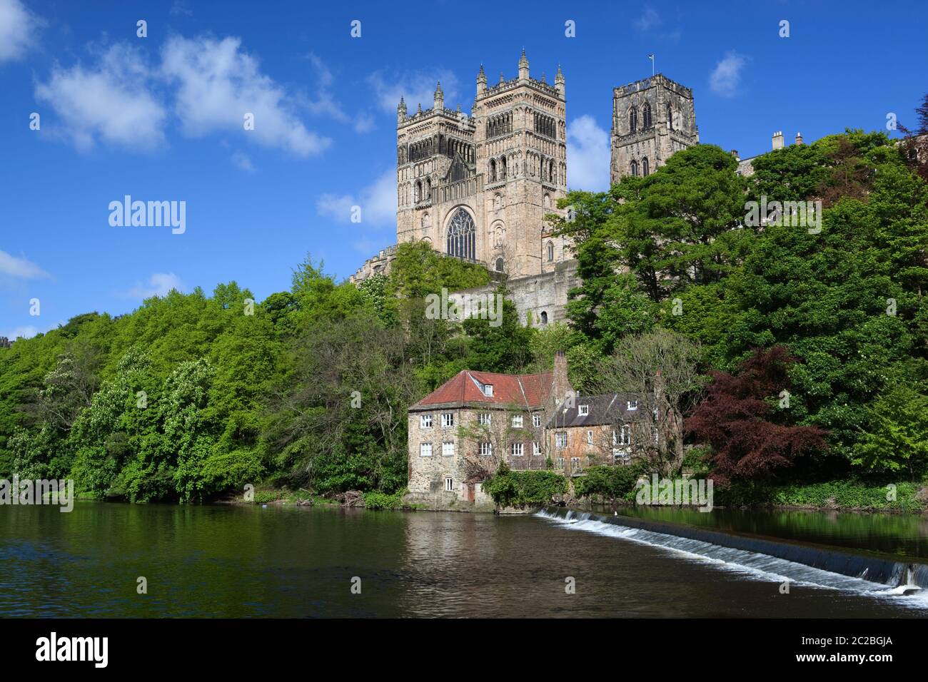 Durham Cathedral e l'Old Fulling Mill e Museo di archeologia sul fiume Wear, Durham, County Durham, Inghilterra, Regno Unito, Europa Foto Stock