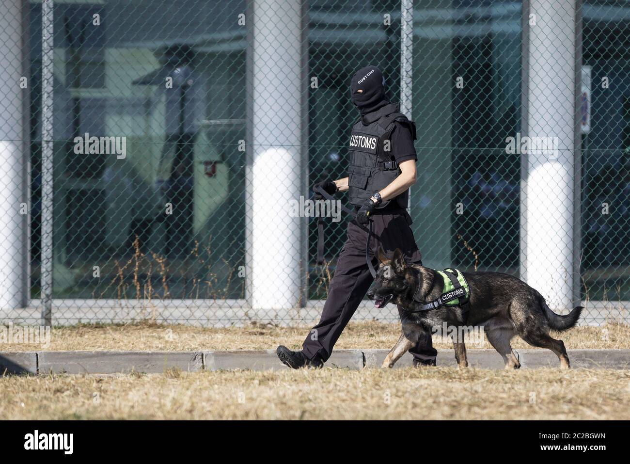 Dogane e addetti alla protezione delle frontiere e cane Foto Stock