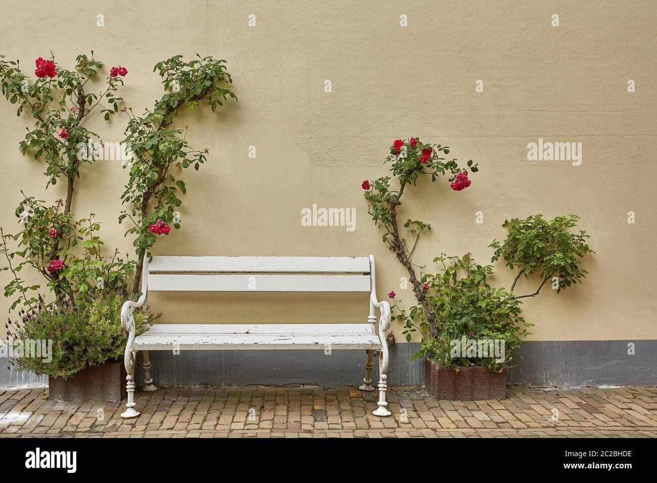 Ingresso casa decorata con fiori. Concetto di stile rustico. Elementi di design bellissimi Foto Stock