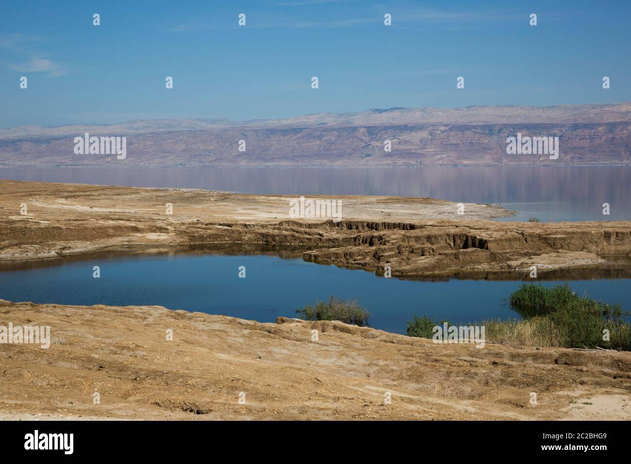 Ein Feshkha (Einot Tzukim) è una riserva naturale e sito archeologico sulla riva nord-occidentale del Mar Morto, a circa tre chilometri a sud di Qumr Foto Stock