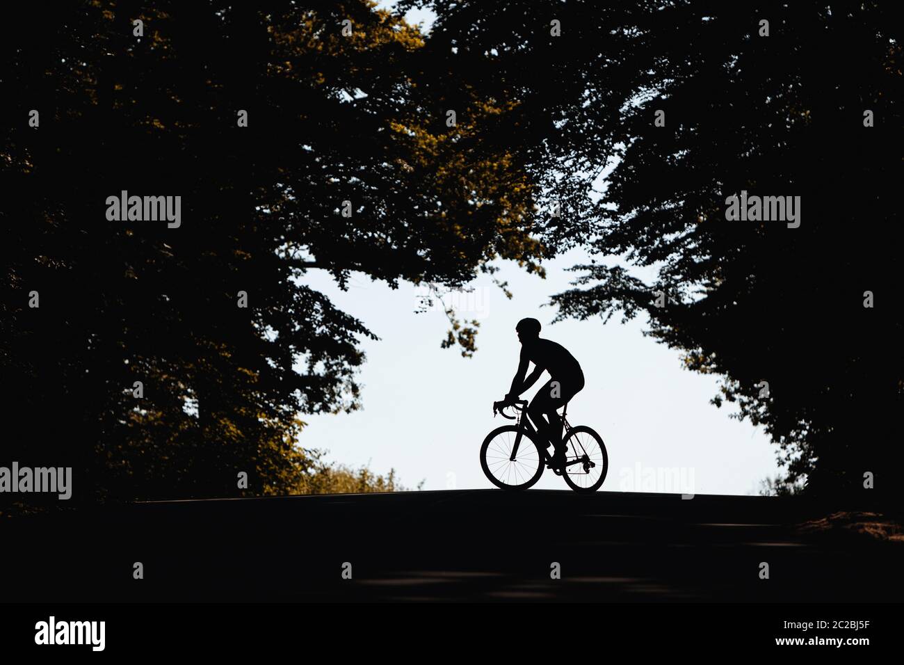Silhouette di forte ciclista in abbigliamento attivo che fa attività sportive in bicicletta all'aria aperta. Concetto di autodisciplina e motivazione. Foto Stock