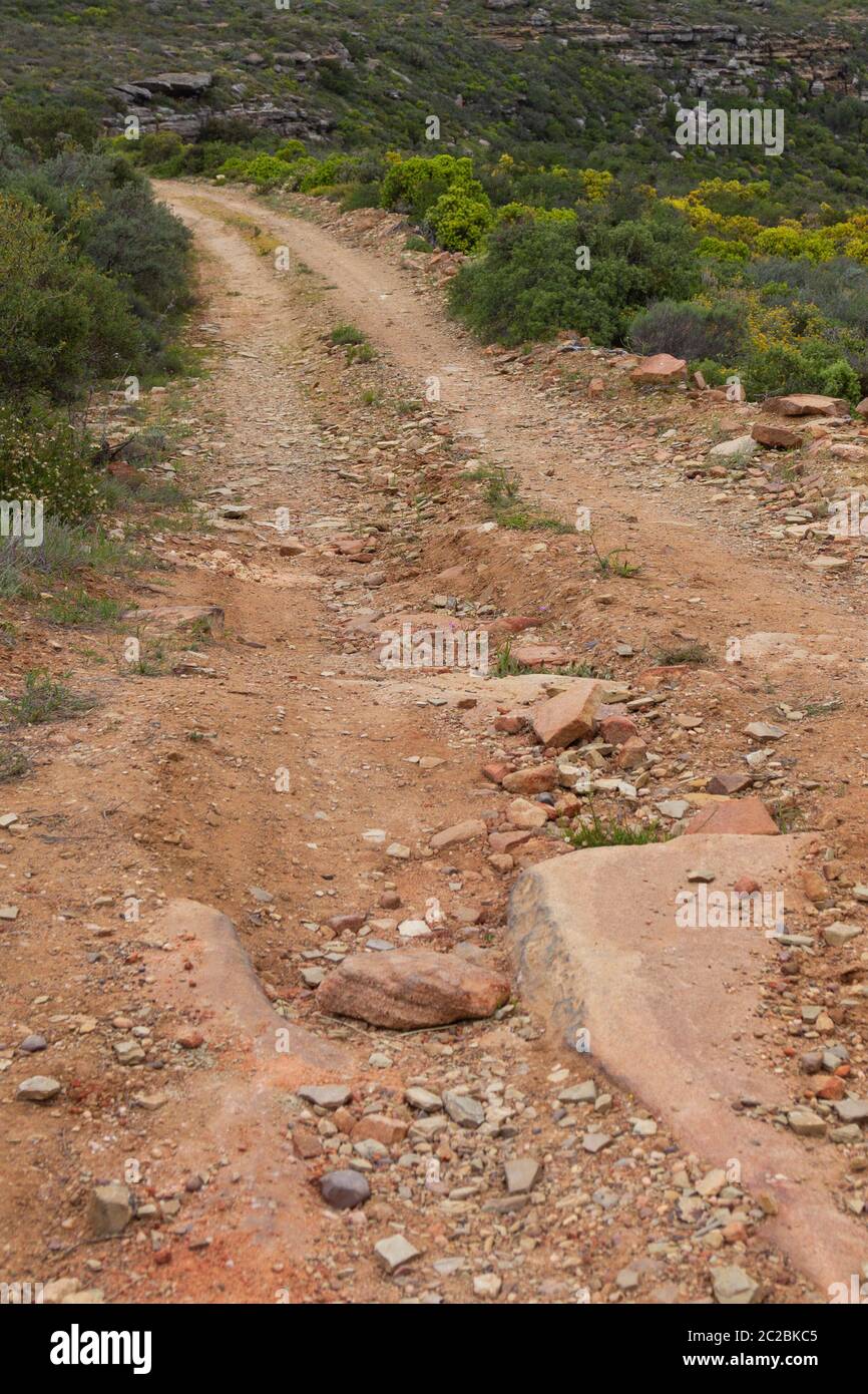 Una strada in ghiaia nei monti Cerderberg in Occidente Capo del Sud Africa Foto Stock