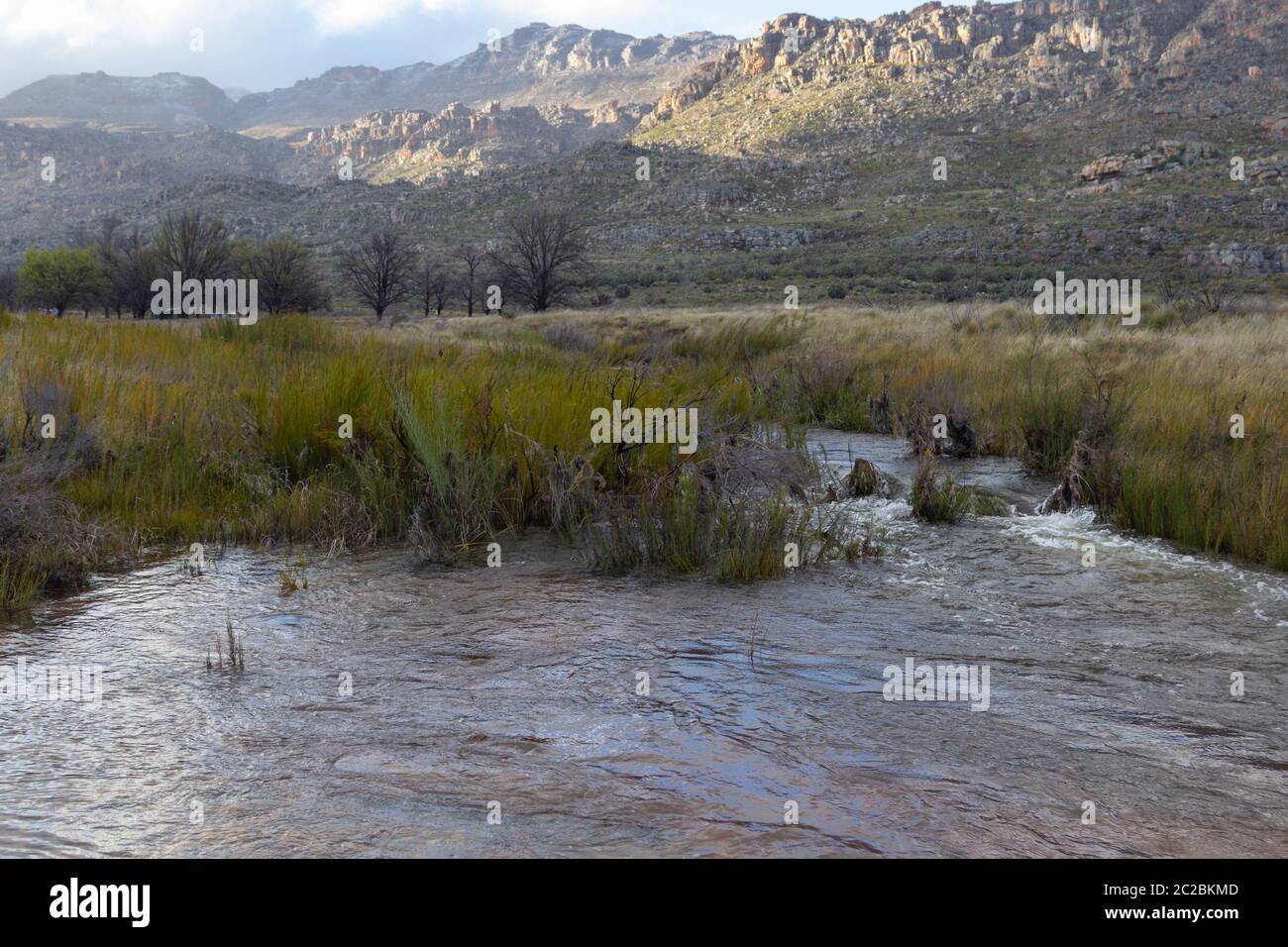 Un piccolo fiume nelle montagne di Cederberg a nord di Cape Città del Capo Occidentale del Sud Africa Foto Stock