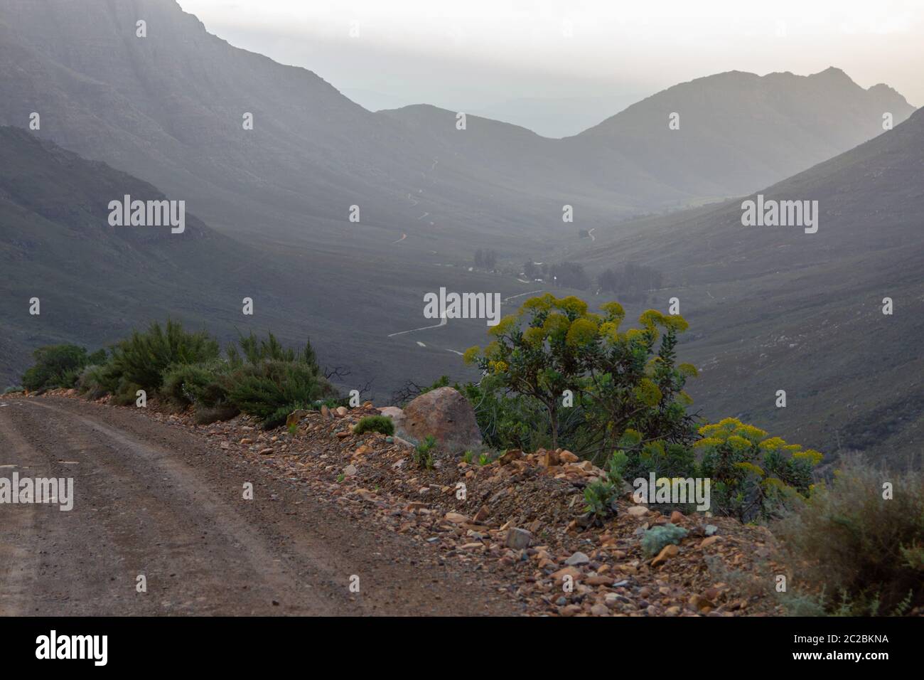 Panorama lungo una piccola strada in ghiaia nei monti Cederberg Nel Capo Occidentale del Sud Africa Foto Stock
