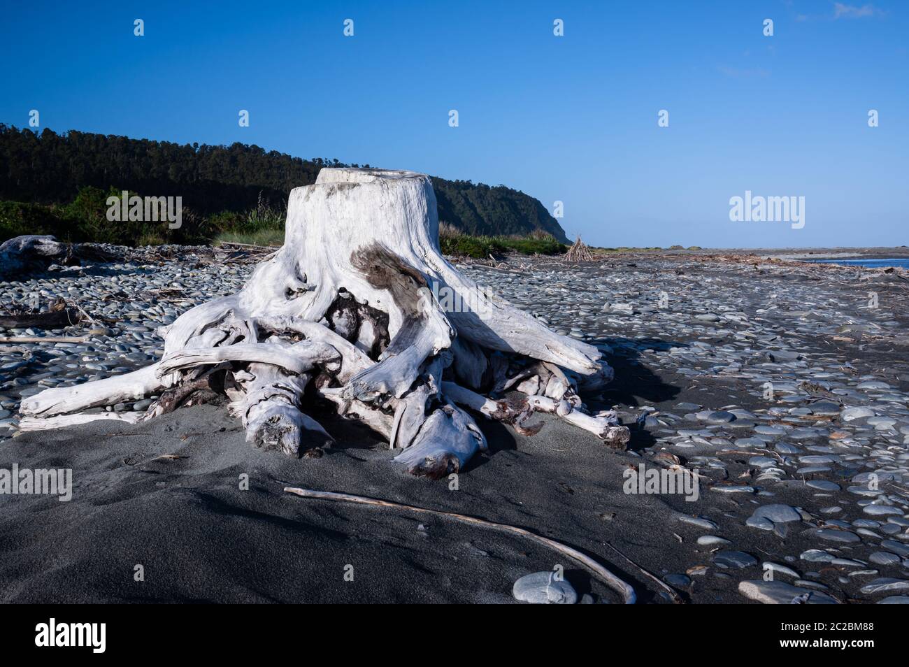Grande driftwood presso la spiaggia di Okarito sulla costa occidentale dell'isola meridionale della Nuova Zelanda. Foto Stock