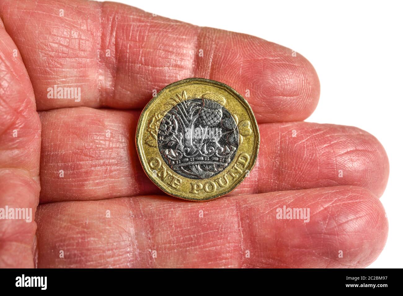 Una moneta da una libbra che poggia sulla mano umana Foto Stock