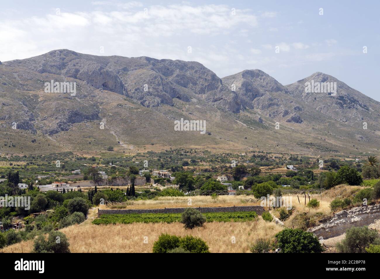 La fertile valle di Vathi è utilizzato extensivley per agricoltura, coltivazione di frutta e verdura e altre colture, Kalymnos, isole Dodecanesi, Grecia. Foto Stock