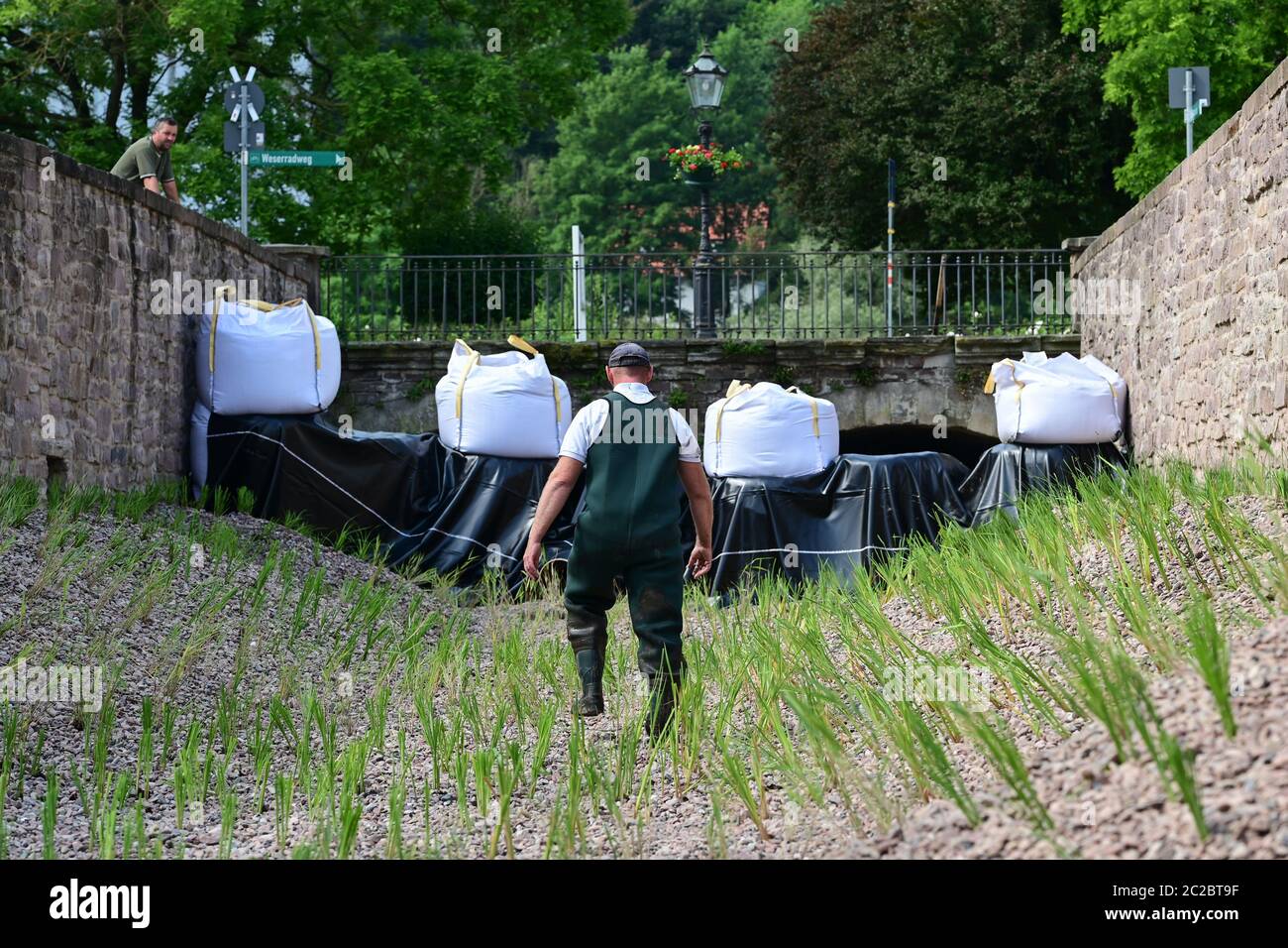 Bad Karlshafen, Germania. 17 Giugno 2020. Un uomo controlla la diga provvisoria del canale di diramazione verso il bacino del porto di Bad Karlshafen, in cui sono state piantate giovani piante d'acqua. La città nord-hessiana vuole controllare il problema delle alghe del suo nuovo porto piantando nell'insenatura vuota dal Diemel al bacino. Credit: Uwe Zucchi/dpa/Alamy Live News Foto Stock