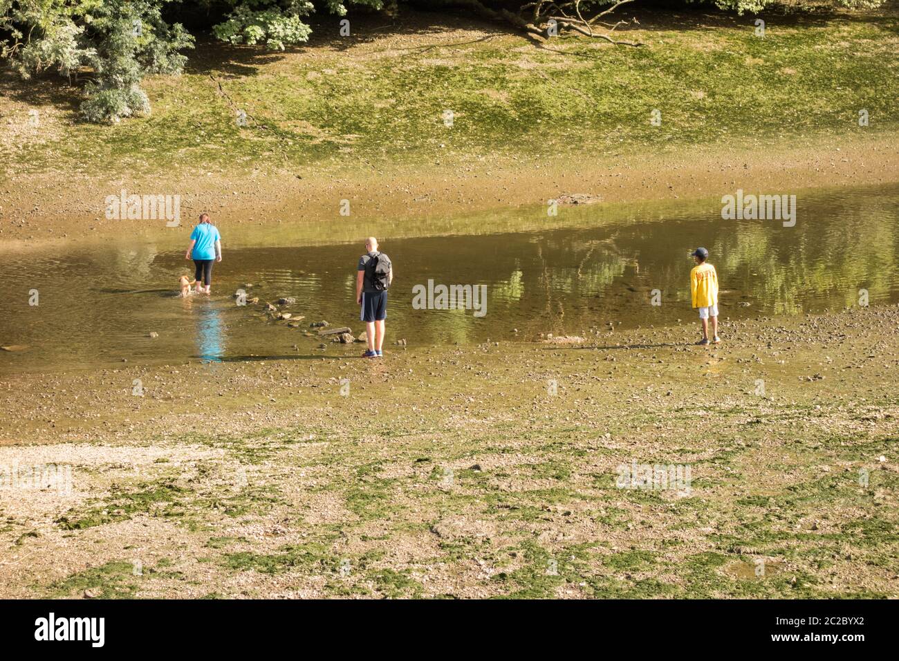 Una famiglia che cammina fuori alla riserva naturale di Isleworth Ait con la bassa marea Foto Stock
