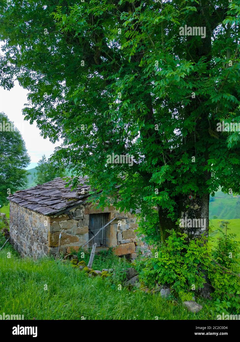 Paesaggio primaverile di capanne e prati pasiegas nella Valle di Miera nella Comunità Autonoma della Cantabria. Spagna, Europa Foto Stock