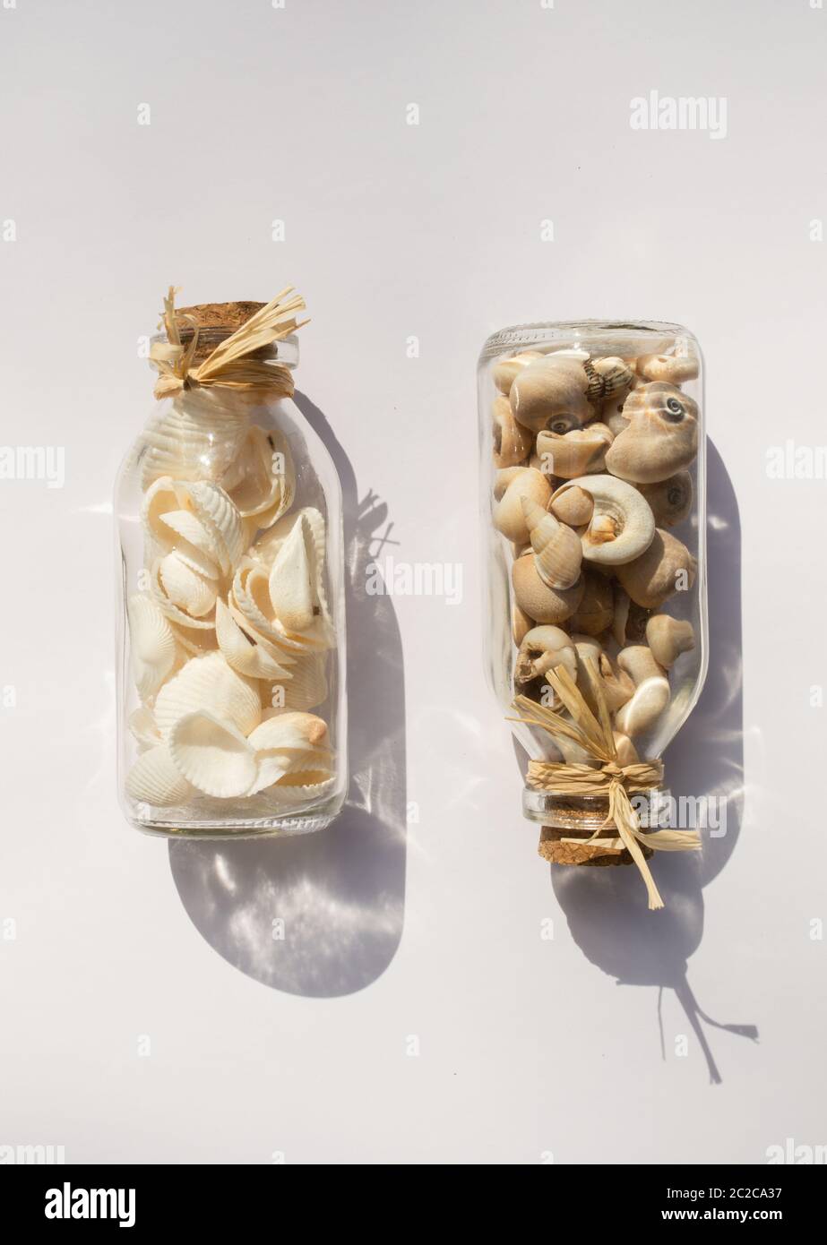 Due bottiglie di vetro riempite con conchiglie di mare su sfondo bianco Foto Stock