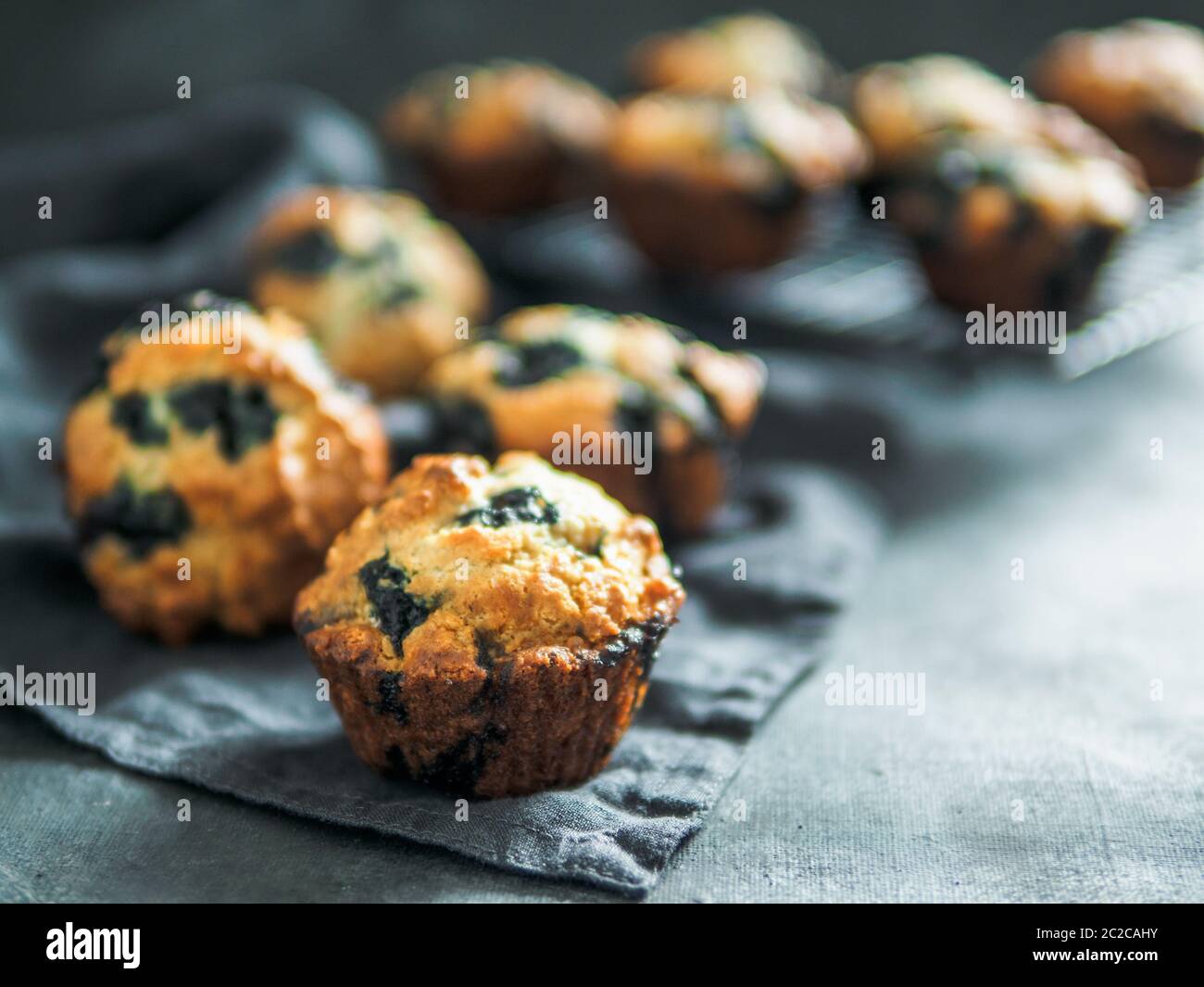 Muffin ai mirtilli fatti in casa su sfondo scuro. Foto Stock