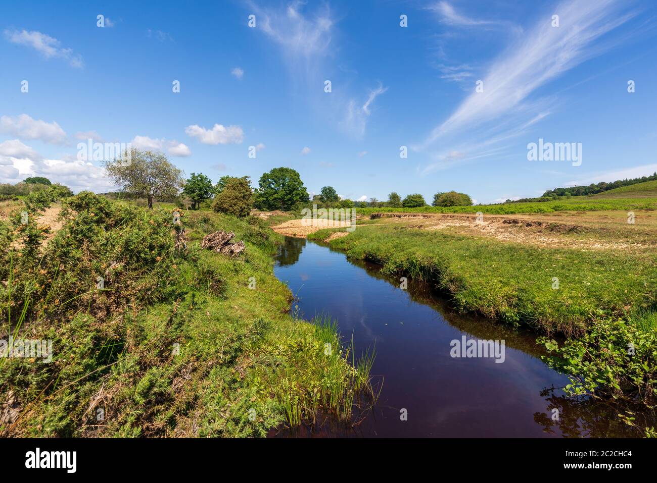 New Forest scena in estate con acqua e cielo blu, Hampshire, Regno Unito Foto Stock