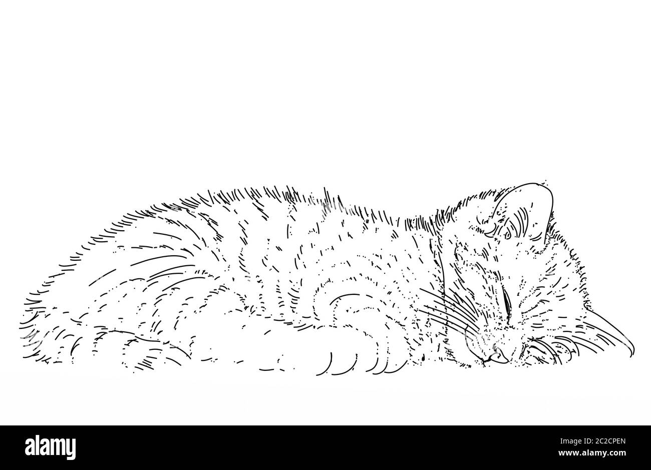 ritratto donna, disegni originali dipinti con acquerello su carta Foto Stock