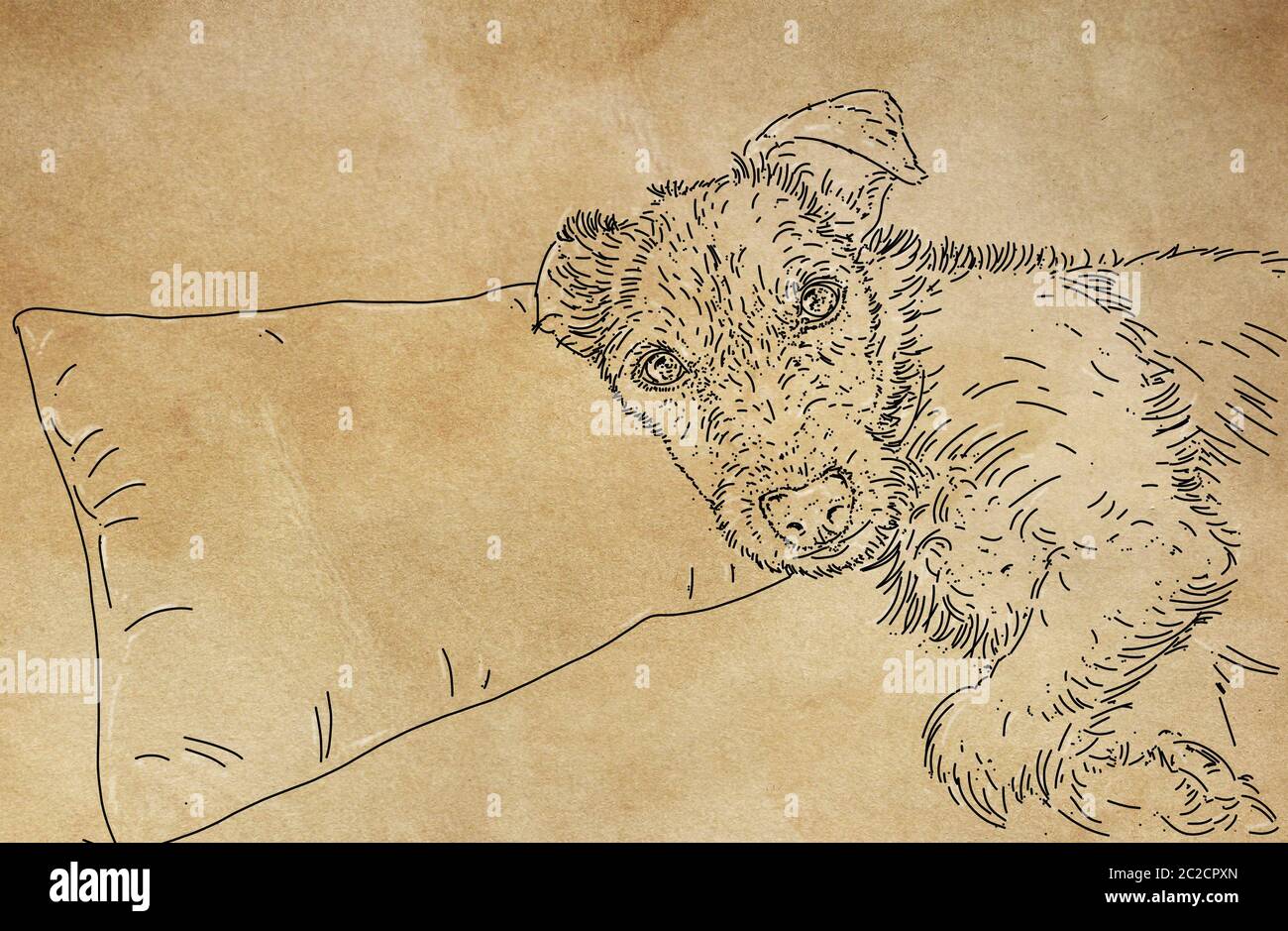 ritratto donna, disegni originali dipinti con acquerello su carta Foto Stock